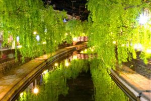 20130602_575897